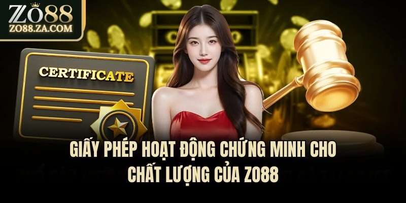 Giấy phép hoạt động chứng minh cho chất lượng của Zo88
